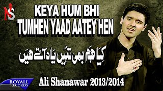 Ali Shanawar  Kya Hum Bhi Tumhein Yad Atey Hain  20132014  کیا ھم بھی تمھیں یاد اتے ھیں [upl. by Inihor]