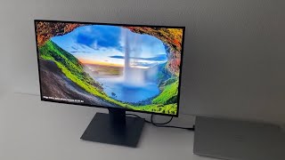 DELL UltraSharp 25 QHD USBC Monitor U2520D 90 W Power Delivery [upl. by Affra17]