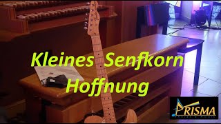 Kleines Senfkorn Hoffnung [upl. by Ragg]