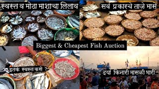 अलिबाग Series 4 स्वस्त मासळी बाजार व लिलाव प्रक्रिया ◆ Biggest Fish Auction ● Alibaug Fish Market 👍 [upl. by Nannerb452]