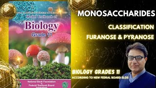 Monosaccharides  Aldo amp Keto Sugars  Furanose amp Pyranose Sugars  Grade 11 Biology  Federal KPK [upl. by Ahsilad]