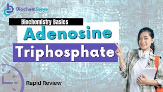 Adenosine Triphosphate ATP Rapid Review [upl. by Lekym468]