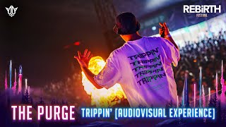 The Purge pres TRIPPIN AUDIOVISUAL EXPERIENCE  REBiRTH Festival 2023 [upl. by Thorny838]