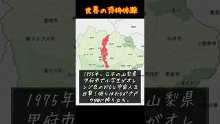 甲府事件（1975年） VOICEVOX青山龍星宇宙 未解決事件 不思議 都市伝説 世界 恐怖 トリビア ホラー 実話体験 [upl. by Ailehs]