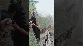 Karnali river cutting floodriver cute karnalishorts [upl. by Moncear]