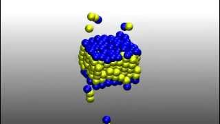 Self Assembly of Lipid Bilayer Membrane [upl. by Ronny]