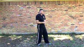 Tai Chi For Beginners  Jet Li Introduces [upl. by Margareta]