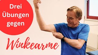 Winkearme wegtrainieren  3 Übungen für straffe Arme [upl. by Colbert]