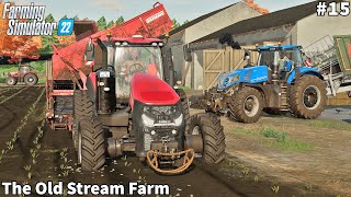 Potato Harvest amp Spreading Manure In The Mud Feeding Animals│The Old Stream│FS 22│Timelapse15 [upl. by Haden]