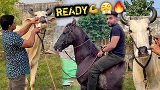 READY SET GO 🔥GANGA SNAN Ke Liye Sabhi Ko Ready Krdiya 😨Kya Hoga Kal [upl. by Aneerb170]