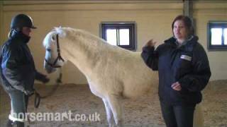 Blue Cross how to tell if your horse is overweight [upl. by Paten]