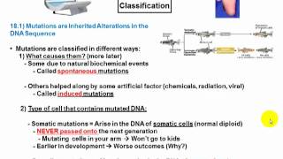 Lecture 8 part BIntragenic and Intergenic Mutationsmp4 [upl. by Onitnerolf635]