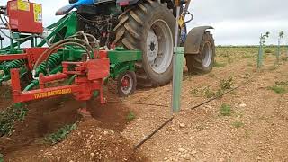 🚜 Tareas de labrado de pistachos con intercepas  Abril 2020  Finca IberoPistacho [upl. by Wolenik352]