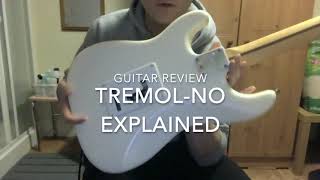 TremolNo Explained on Fender USA Stratocaster [upl. by Adiuqal]