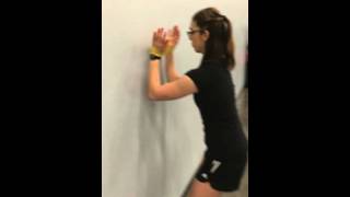 Forearm Wall Walks Rotator Cuff Scapular stabilization [upl. by Htebasil]