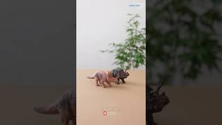 The Most Popular Triceratops Dinosaur in the World dinosaurs dinotoys dino collectingtoys diy [upl. by Niriam50]