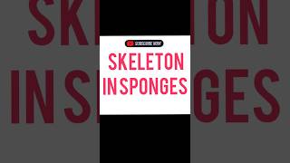 SKELETON IN SPONGES [upl. by Sunil]