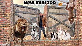 New Mini zoo Ka Gate Lg Giya😍 [upl. by Isnyl]