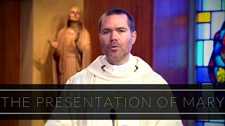 The Presentation of Mary  Homily Father Timothy Hynes [upl. by Aikin]