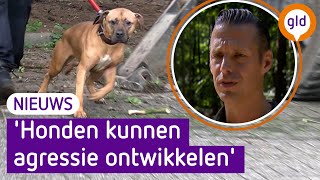 Waarom bijten honden hun eigen baasje [upl. by Mis]