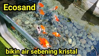 Ecosand Part 2 Bikin Air Kolam Makin Jernih dan Bening  Reupload viralvideo [upl. by Kidder427]