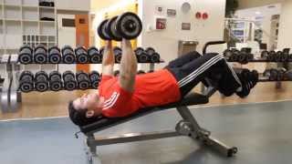 Decline Dumbbell Bench Press  Chest Exercise [upl. by Nivlen]