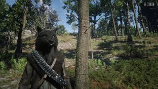 RDR 2 Online Legendary Onyx Wolf Coat Guide [upl. by Danice]