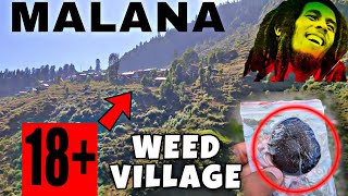 MALANA VILLAGE  Hidden Village of INDIA  MALANA  1 tola🚬 Price [upl. by Ecyak]