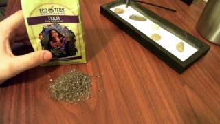 Tulsi Tea One of the Most Powerful Teas Available Review [upl. by Jonette340]