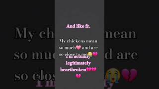 Im heartbroken💔😭 sad death petchickens heartbroken fypviral music [upl. by Aiceila549]