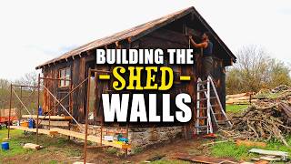 I Have Built the Walls of My Wooden Shed During Winter  S2E8 [upl. by Ssitnerp]