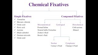 تحضير عينات Fixatives in Histopathology [upl. by Astraea]