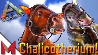 CHALICOTHERIUM TAMING  ARK SURVIVAL EVOLVED GAMEPLAY  S4E42 [upl. by Ahsirahc]