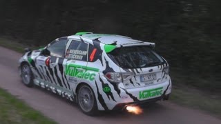 DRMSaarland Rallye 2013 HD Action Crash amp Sound [upl. by Brunn]