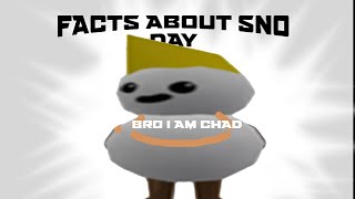 sno day things you probably didnt know  Roblox [upl. by Eirrem303]