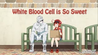 Hataraku Saibou Episode 8 White Blood Cell is So Sweet [upl. by Airreis]