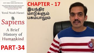 Sapiens  Book Review in Tamil  Part 34  Chapter 17 [upl. by Manuela]