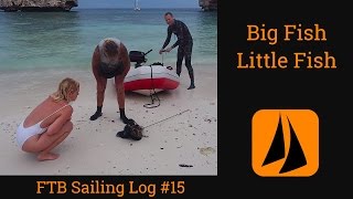 BIG FISH LITTLE FISH Ep 15 [upl. by Artur]