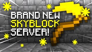 The BEST START EVER on NEW SKYBLOCK MAP  Minecraft SKYBLOCK SERVER 1 [upl. by Najram]