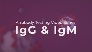 Antibody Testing IgG and IgM explained [upl. by Nekial]