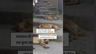 Her saphalta ki sedi par koi pareshani hoti hi hai reality of lifefunny shorts viral [upl. by Georgeta]