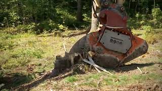 RSBM Excavator Stump Shear [upl. by Esiom]