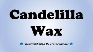 How To Pronounce Candelilla Wax [upl. by Schnabel238]