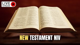 The Holy Bible  Complete NEW TESTAMENT Audio Bible NIV Dramatized [upl. by Lori798]