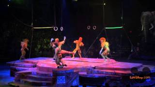 Festival of the Lion King Full Show 2014 [upl. by Llireva]