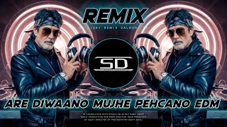 ARE DIWANO MUJHE PEHCHANO REMIX  SUPER HIT EDM MIX  MEIN HOON DON DJ SONG DJ SIDAY REMIX 2024 NEW [upl. by Attenat]