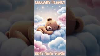 Sweet Dreams Adorable Teddy Bear Lullabies for Peaceful Sleep [upl. by Sexela]