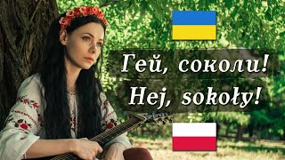 🇺🇦 🇵🇱 Гей соколи  Hej sokoły – UkrainianPolish folk song [upl. by Chaunce695]