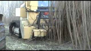 BR600 biomass harvester [upl. by Minsat]