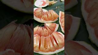 Cutting fruit short satisfying fruit grapefruits cuttingskills [upl. by Kerin]